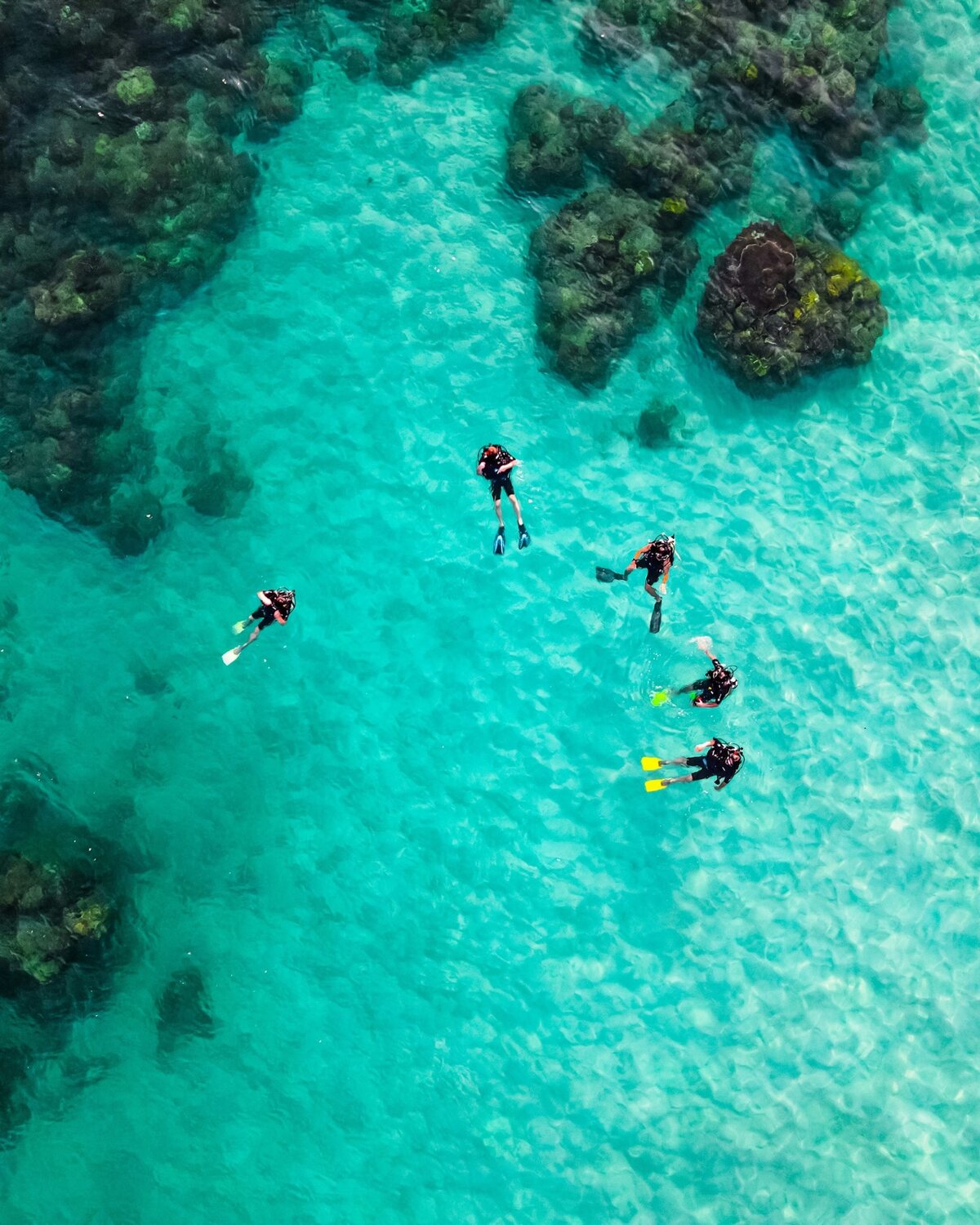 Thumbnail of scuba divers above a turquoise coral reef