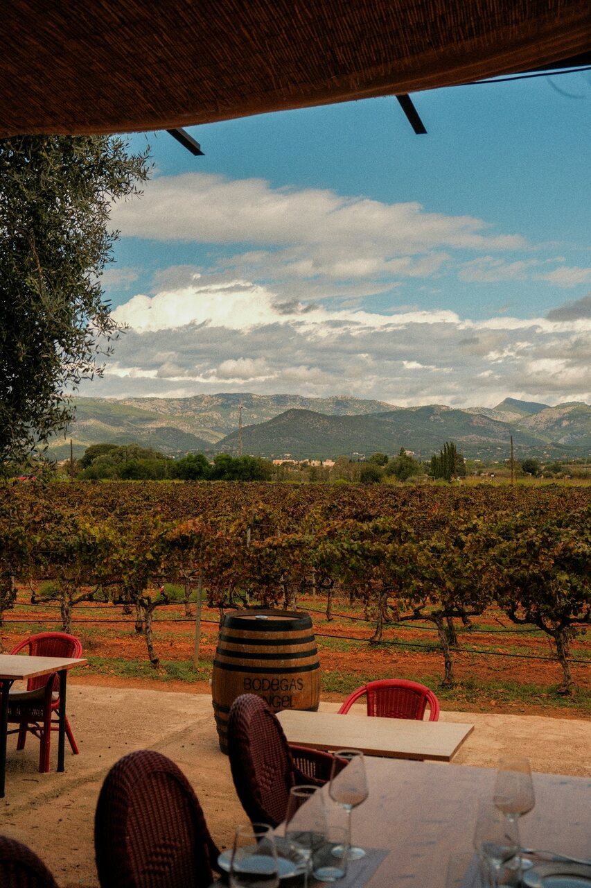 Thumbnail of a vineyard terrace and mountain view